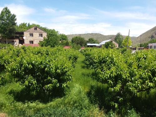 Areni Tavern-b&b