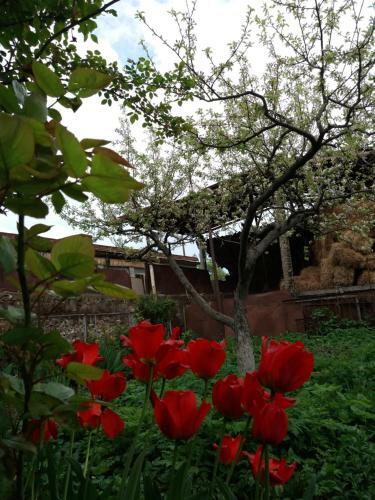Aida Bed & Breakfast