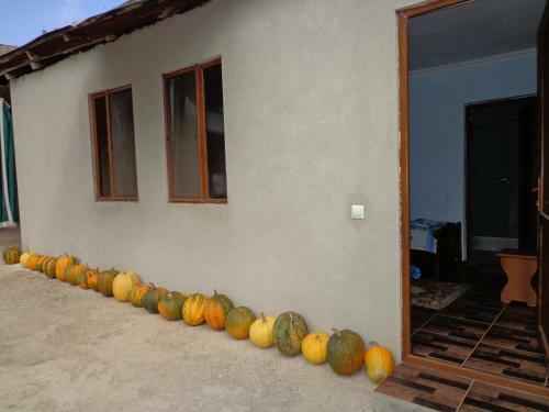 Anush`s B&B