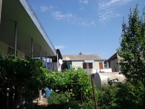 Anush`s B&B