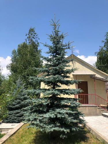 Hotel Cottages