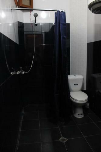 Hostal Silver Hotel