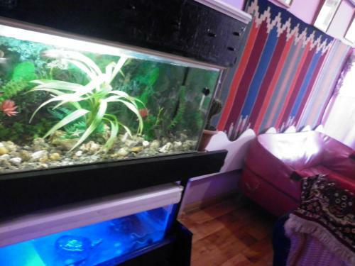 Hostal Guest House Dompolski