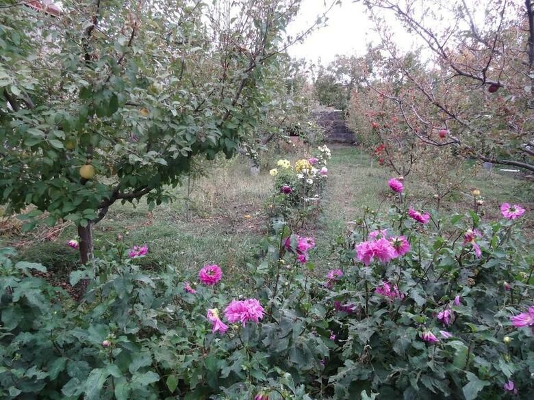 Hostal Artush & Raisa B&B