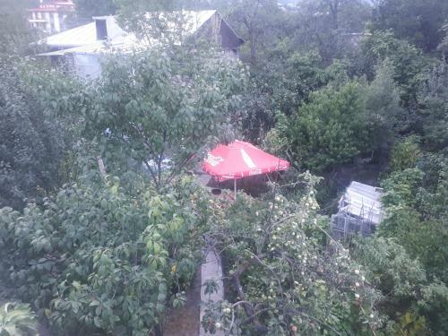 Motel Narek B&B