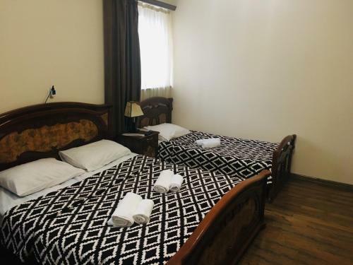Hostal Van Hotel Goris