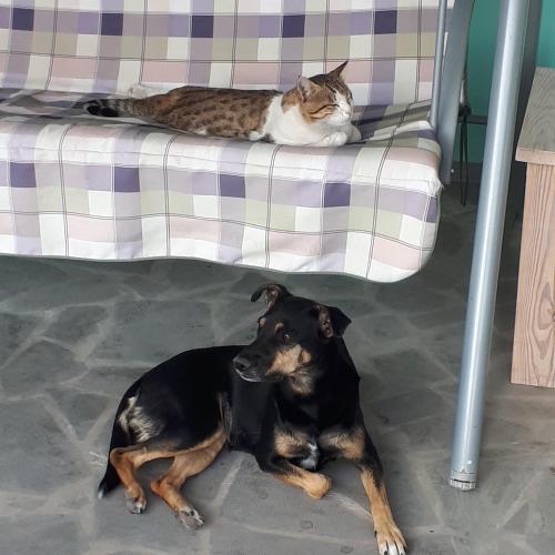 Bed & Breakfast 3 Gs