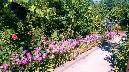 Bed & Breakfast Guest House Armina