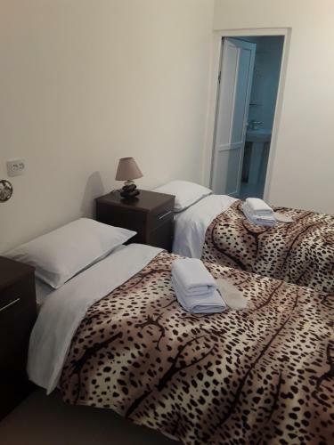 Hostal Guest House Shant