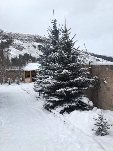 Tsaghkadzor Apartament Armenia
