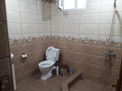 Hostal Igor Bed And Breakfast