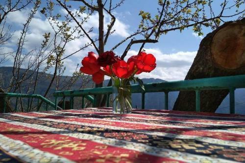 Hostal Igor Bed And Breakfast