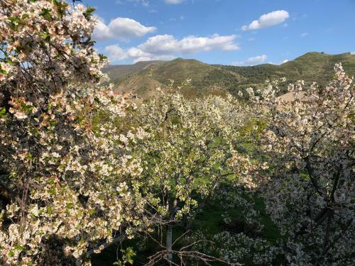 Garni Nature Villa