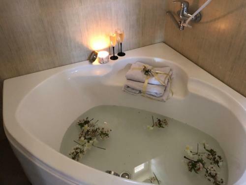 Garni Nature Villa
