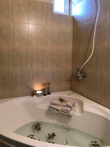 Garni Nature Villa