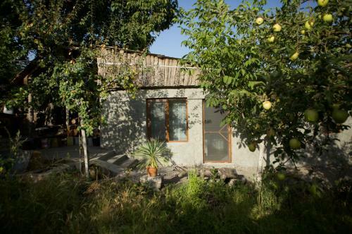 Art Gallery House In Fruit Garden