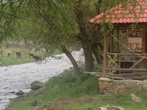 Bed & Breakfast Belveder Eco Resort