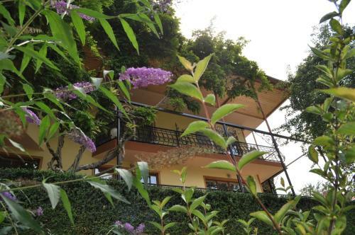 Hostal Casanova Inn - Boutique Hotel
