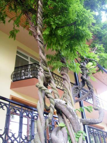 Hostal Casanova Inn - Boutique Hotel