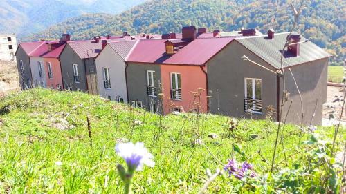 Hostal 3d Guest House