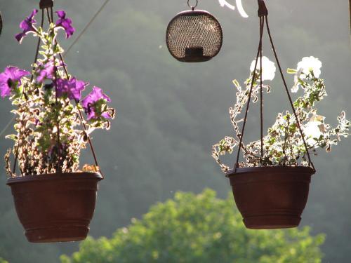 Hostal Daravand Guest House