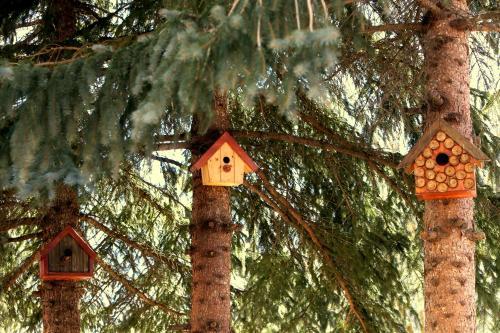 Hostal Daravand Guest House
