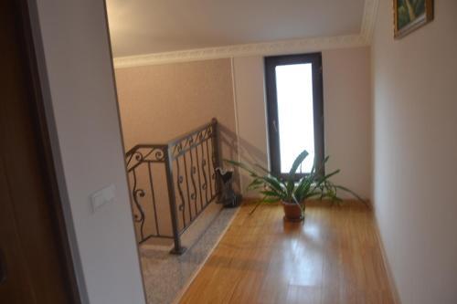 B&B Araz