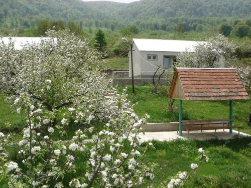Odzun Hotel