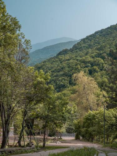 Hotel Apricot Aghveran Resort
