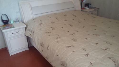 Hostal Shushan Guest House
