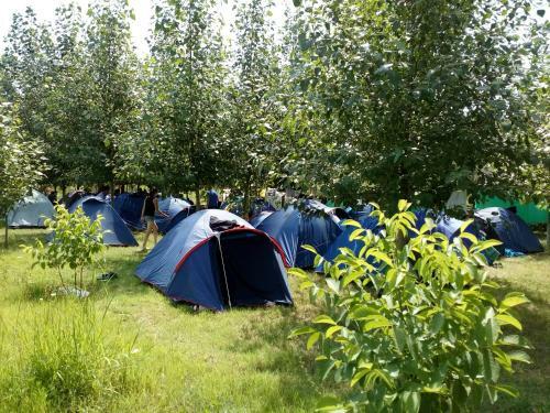 Crossway Camping