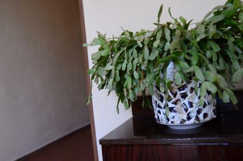 Hostal Barseghyan's Guest House