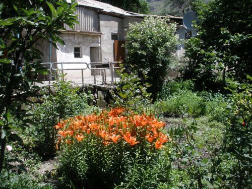 Bed & Breakfast Ave Zara