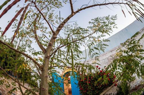 Hotel Pousada Trememb�