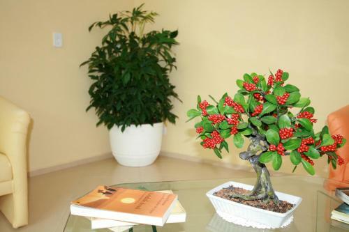 Hostal Pousada Lua Cheia