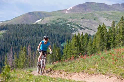 Apartamento River Mtn Lodge W322