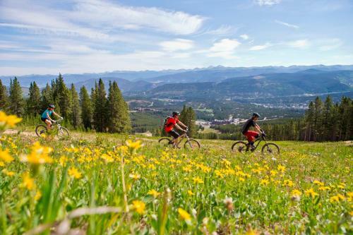 Apartamento Crystal Peak Lodge C7000