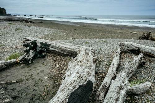 Hotel Beachfront Inn