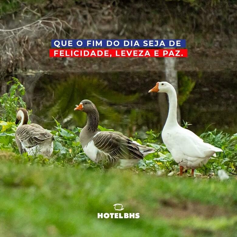 Hotel Bhs