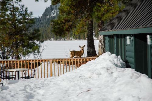 Hotel Suttle Lake & Boathouse