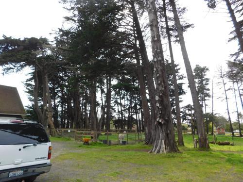 Lodging And Llamas
