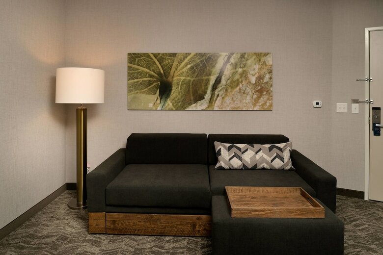 Hotel Springhill Suites By Marriott Austin Cedar Park
