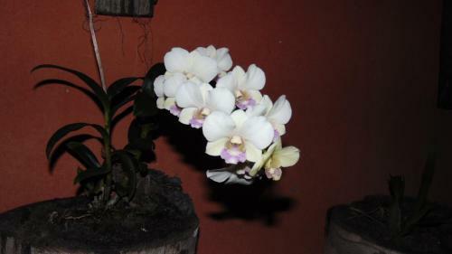Hostal Pousada Do Mendon�a