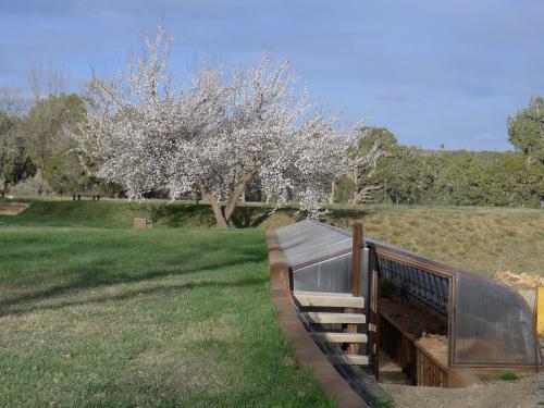 Mesa Verde Farm And Studio