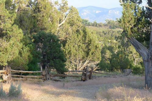 Mesa Verde Farm And Studio