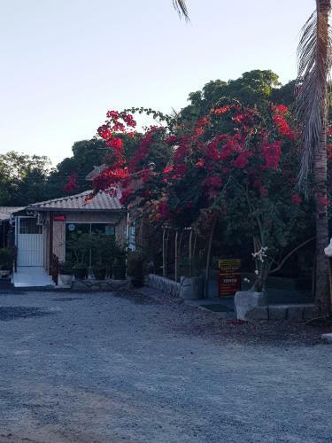 Hostal Pousada Novilha De Ouro