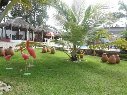 Hostal Pousada Para�so Dos Guar�s