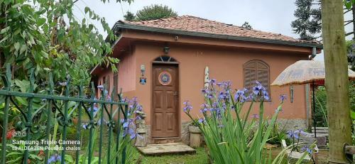 Hostal Aldea Zen Chales Privativos