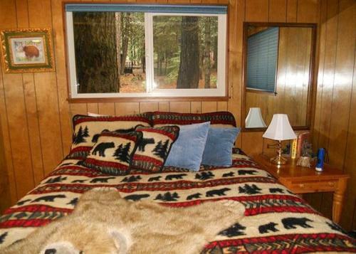 Hicks Tree Fort-3 Bedroom Cabin