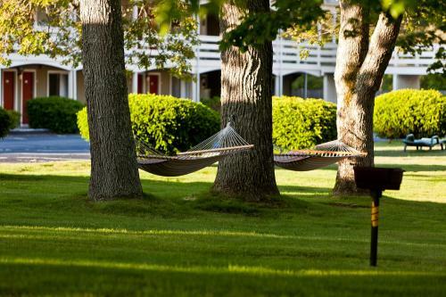 Motel Ocean Park Inn Cape Cod